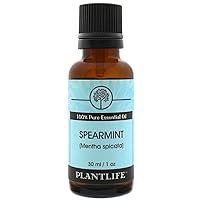 Spearmint Aromatherapy Essential Oil - Straight from The Plant 100% Pure Therapeutic Grade - No Additives or Fillers - 30 ml