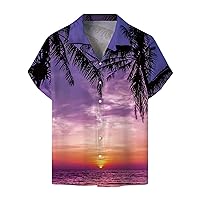 Mens Hawaiian Shirt Polyester Funny Summer Tshirts Beach Oversized Button Down Western Retro Multicolored Clothing