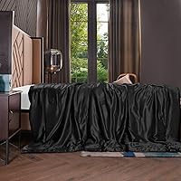 THXSILK 100% Silk Inside and Out Luxury Throw Blanket for Sofa Office Travel Children (Black, 53x70 inch)
