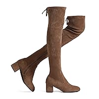 Shoe'N Tale Women's Chunky Heel Back Zipper Sexy Pointed Toe Over The Knee Thigh High Boots(5,Taupe 2.4'')