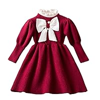 HNXDYY Little Girl Tulle Puffy Birthday Princess Dress Casual Long Sleeves Winter Dresses
