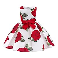 Girls Dress Rose Flower Print Color Matching Dress for Kids