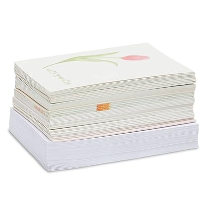 Best Paper Greetings 48-Pack of Bulk Sympathy and Get Well Cards Assortment Box with Envelopes with 12 Floral Designs, Blank On The Inside for Family, Friends, Coworkers (4x6 Inches)