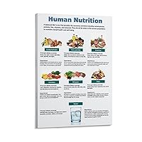 RCIDOS Human Digestive System Healthy Balanced Diet Poster Human Biology Poster Canvas Painting Posters And Prints Wall Art Pictures for Living Room Bedroom Decor 08x12inch(20x30cm) Frame-style