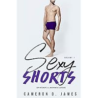 Sexy Shorts: Gay Hookups and Anonymous Quickies