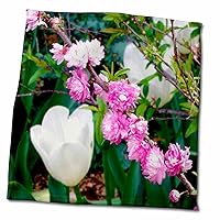 3dRose Flowering Almond, Pink blossomed Flowering Almond - Towels (twl-120370-3)