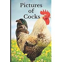 Pictures of Cocks: Funny White Elephant, Yankee Swap, Secret Santa Gift, (Stupid Gifts Ideas)
