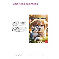 colorindo brincando (Portuguese Edition)