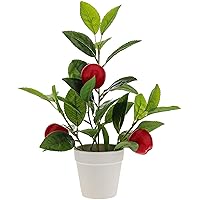 13'' Artificial Apple Tree White Potted Mini Plants Decoration Fake Realistic Fruits with 3 Red Apples for Home Living Room Office Desk Bedroom Indoor