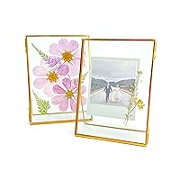 Double Glass Frame for Pressed Flowers, Leaf and Artwork,Gold Standing Metal Picture Frames, Set of 2 Pressed Flower Frames with Stand (Gold, 5x7)