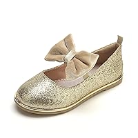 Toddler Girl Shoes, Mary Jane Girls Flats, Ballet Flats Princess Shoes with Flower for Kids Wedding Party School