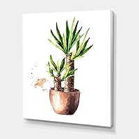 Yucca Tree In The Ceramic Flower Pot Traditional Canvas Wall Art