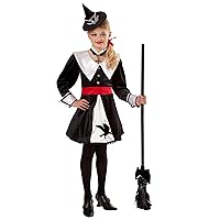 Rubie's Deluxe Salem Witch Costume
