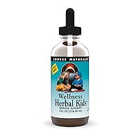 Source Naturals Wellness Herbal Kids Liquid Formula - for Immune System Support - 4 Fluid oz