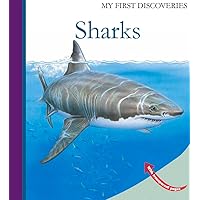Sharks (My First Discoveries) Sharks (My First Discoveries) Spiral-bound