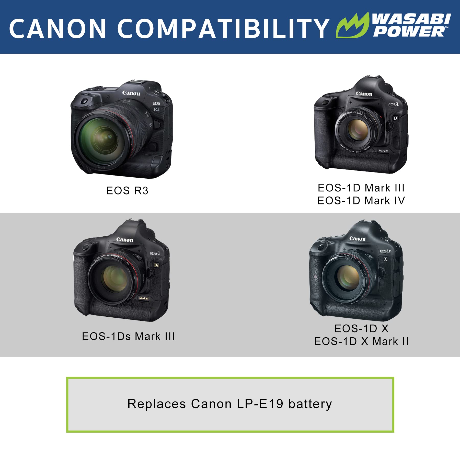 DSTE Replacement for LP-E4N Li-ion Battery Compatible Canon EOS-1D X EOS-1D  X Mark II EOS-1D Mark III EOS-1D Mark IV EOS-1Ds Mark III as LP-E19