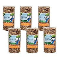 JCs Wildlife Premium Bird Seed Small Cylinder (Bugs, Nuts, & Berries)