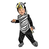 Zany Zebra Costume