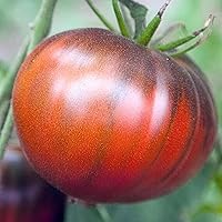 CHUXAY GARDEN Black Sea Man Tomato,Heirloom Tomato Seeds for Planting 25 Seeds Rare Black Fruit Sweet Vegetable Strong Flavor Black Tomato Great for Edible and Salad Outdoors
