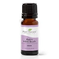 Plant Therapy Balm Mint Bush Essential Oil 10 mL (1/3 oz) 100% Pure, Undiluted, Therapeutic Grade