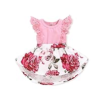 OLLUISNEO Newborn Baby Girl Dress Baby Summer Clothes Flower Short Sleeve Dress Infant Outfit Baby Girl Clothes