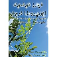 How to Grow a Moringa Tree!: The Ultimate Study Guide to Assist, Establish, and Perfect the Art to Cultivating a Blessing (Arabic Edition) How to Grow a Moringa Tree!: The Ultimate Study Guide to Assist, Establish, and Perfect the Art to Cultivating a Blessing (Arabic Edition) Paperback