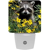Baby Raccoon Hiding in The Florals Jungle Night Light (Plug-in), Smart Dusk to Dawn Sensor Warm White LED Nightlights for Hallway Bedroom Kids Room Kitchen Hallway, 2 Packs