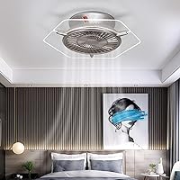 Ceiling Fans with Lamps,Ceiling Fan with Lights and Remote-Control,Modern Ceiling Lights with Fan, Dimmable 36W,6 Wind Speeds,Fan Lighting for Living Room, Bedroom/Silver