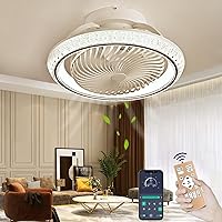 TJSC Ceiling Fan with Lighting LED Light, Dimmable Invisible Fan Light, 360° Rotatable, Timer Quiet Fan Lamp, 48 W with Remote Control App, for Living Room, Bedroom, Black, 49 cm
