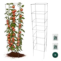 Square Foldable Tomato Cages 13