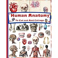 Human Anatomy To cut Out And Collage: A collection of Human body cutouts for collage, art projects, scrapbooking, journaling , crafts and more !