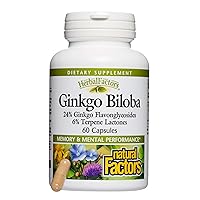 HerbalFactors by Natural Factors, Ginkgo Biloba, Supports Memory, Mental Performance and Healthy Brain Function, 60 capsules (60 servings)