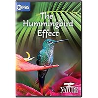NATURE: The Hummingbird Effect
