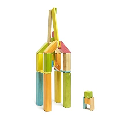 42 Piece Tegu Magnetic Wooden Block Set, Tints, 1-99 years old