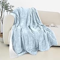Elegant Comfort Reversible and Ultra-Plush Flannel Fleece Sherpa Throw- Lightweight Soft and Cozy- All Season Decorative Throw, Perfect for Lounging, 50 x 60 inches, Aqua Blue