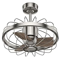 Hunter Fan Company 50798 Roswell Indoor Ceiling Fan with Wall Control, 16