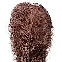 Lampu 10pcs Ostrich Feathers 12-14 inch(30-35cm) Plume Home Wedding Decoration（Brown）