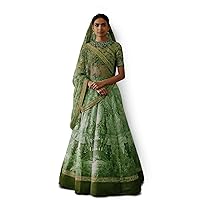 Traditional Lehenga Choli Embroidered with Chennai Silk Fabric Red Green Blue Color Lehngha
