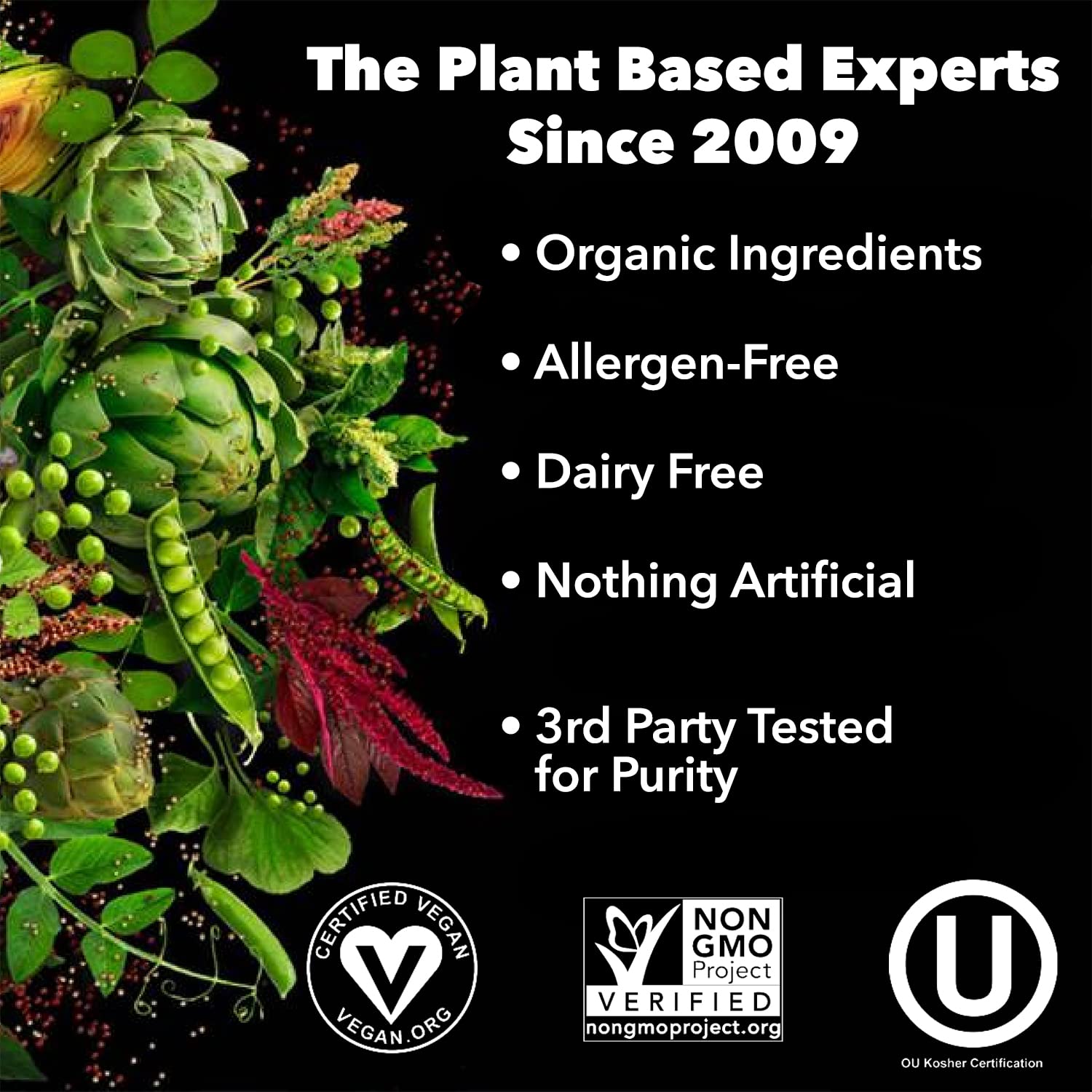 PlantFusion Complete Vegan Protein Powder - Plant Based Protein Powder with BCAAs, Digestive Enzymes and Pea Protein - Keto, Gluten Free, Soy Free, Non-Dairy, No Sugar, Non-GMO - Chocolate 1lb