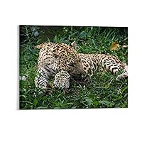 Animal Leopard Sleepy Canvas Prints Framed Painting Modern Canvas Wall Art Ready to Hang Artwork Picture for Bedroom Bathroom Home Kitchen Wall Decoration 8