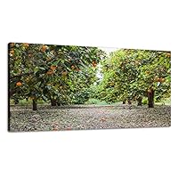 Large Canvas Wall Art orange grove full of ripe oranges on green trees orchards and Canvas Prints Framed Painting Modern Artwork Abstract Stretched Poster Home Decoration Unique Gift 30