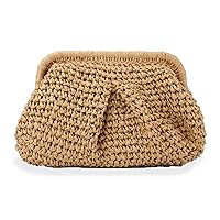 LHHMZ Straw Clutch Purse for Women Straw Dumpling Clutch Woven Straw Bag Summer Beach Bag Straw Shoulder Handbag