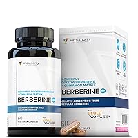 Extra Strength Berberine with Ceylon Cinnamon High Absorption Dihydroberberine Berberine Supplement for Balance and Support - Vegan Powerful AMPk Metabolic Activator - 30 Servings