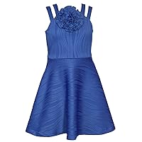 Bonnie Jean Girls Size 7-16 Crinkle-Pleat Knit Rosette Skater Dress