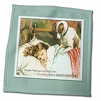 3dRose Parkers Ginger Tonic Sleeping Child with Little Dog - Towels (twl-169861-3)