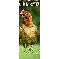 Chickens Slim Calendar 2020