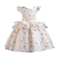 Toddler Girl 2024 Cute Birthday Dress Ruffle Hem Floral Print Casual Sundress Fashion Kids Prom Costume Dresses