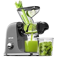 Cold Press Juicer Machine, Compact, Quiet, Easy to Clean Slow Masticating Juicer with Dual Feed Chute, High Yield Juice Maker for Fruits and Vegetables, No Clogging, Grey