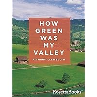 How Green Was My Valley How Green Was My Valley Kindle Audible Audiobook Paperback Mass Market Paperback Hardcover Audio CD