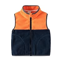 Toddler Boy's Stand Up Collar Colorblocked Fleece Zip Up Style Vest Jacket With Pockets Boys Trendy Daily Outfits